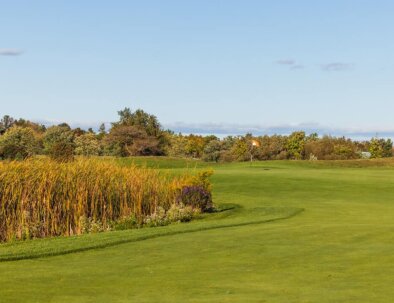 South-15-Fwy-to-Green-opt