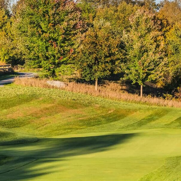 Angus-Glen-Golf-Club---South-6-Tee-Close-opt