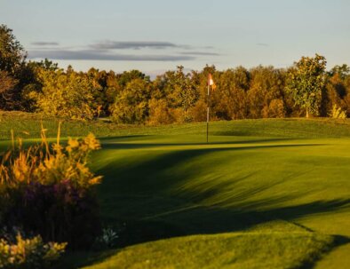 South-15-Greenside-opt