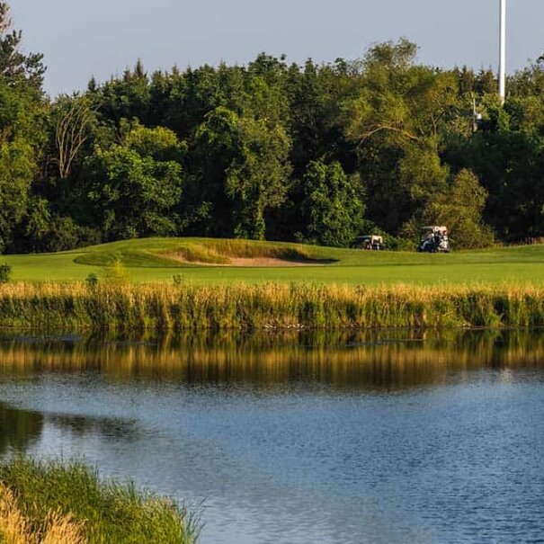 North-13--header-opt