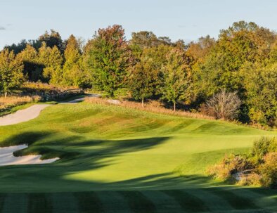 South-6-Tee-Close-opt