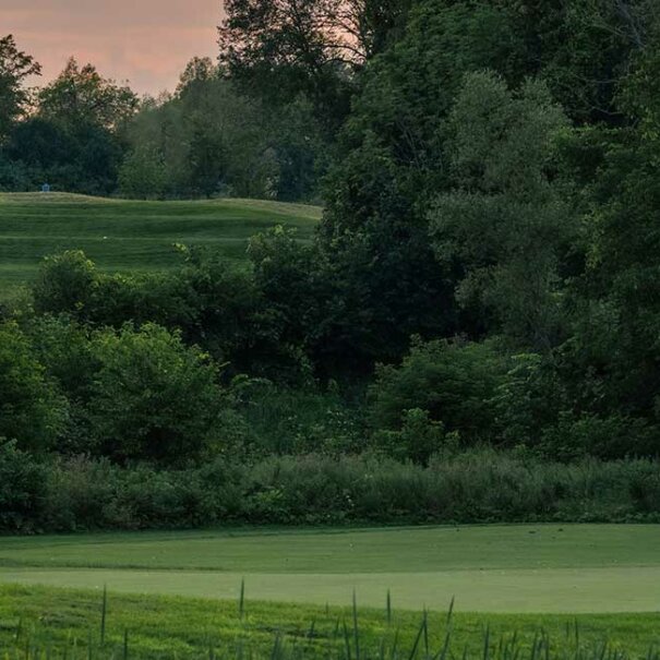 North-8---header-opt