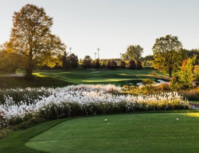 South---12---tee---opt