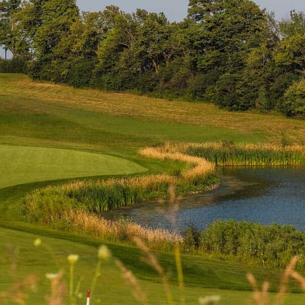 North-11---header-opt