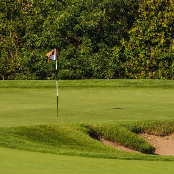 North-7---Header-opt